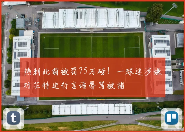 热刺此前被罚75万磅！一球迷涉嫌对芒特进行言语辱骂被捕