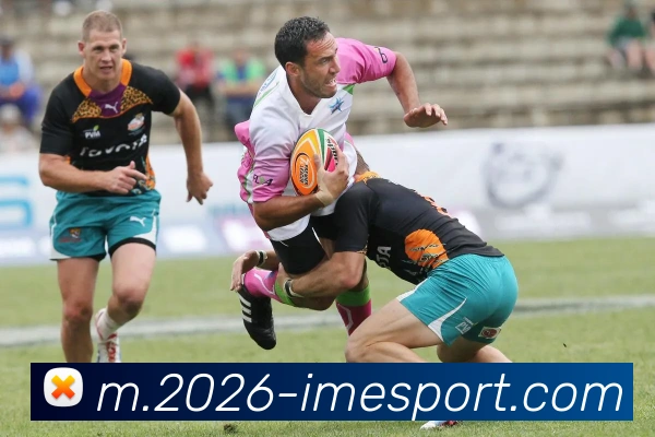 IM电竞服务体系